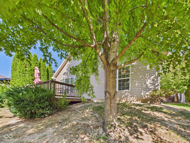 Listing Image 25