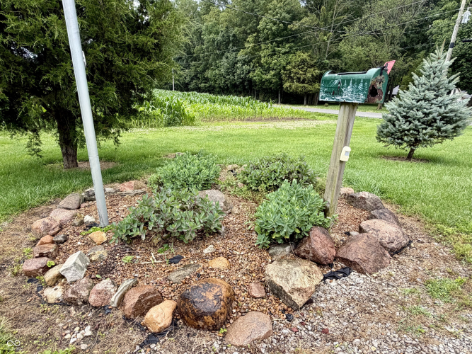 Listing Image 49