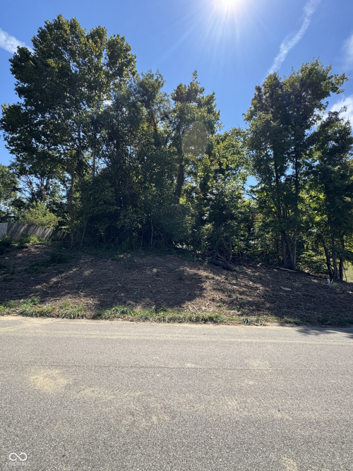 Listing Image 16