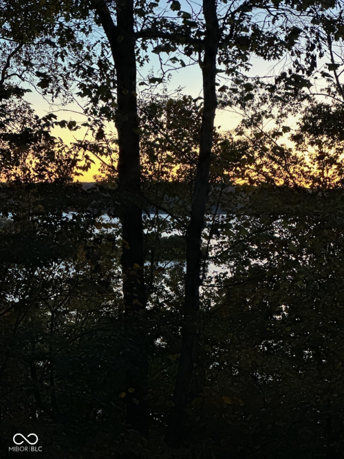Listing Image 58