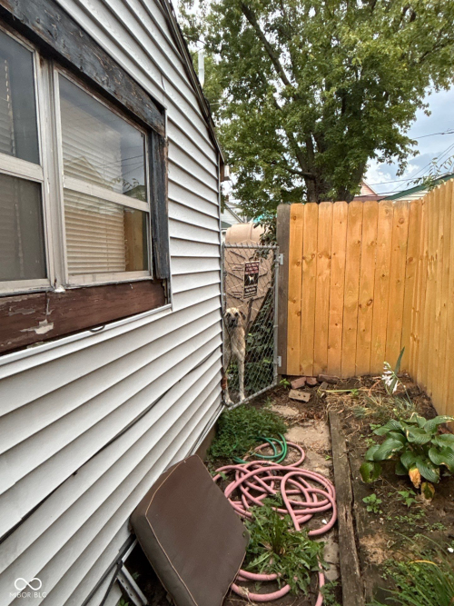 Listing Image 18