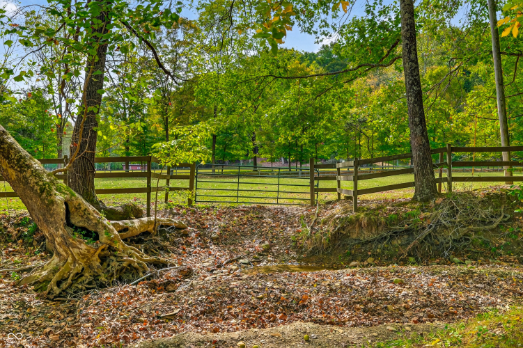 Listing Image 124