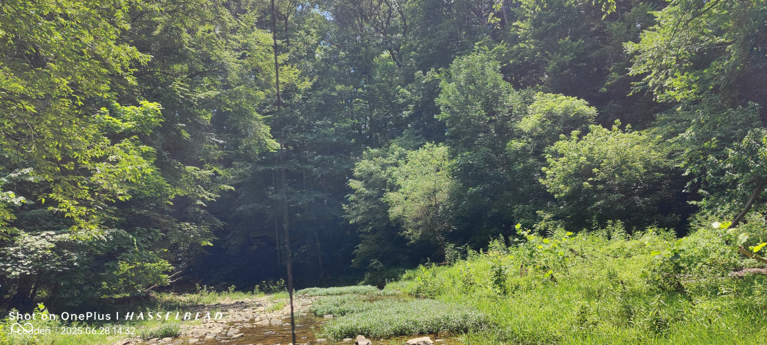 Listing Image 28