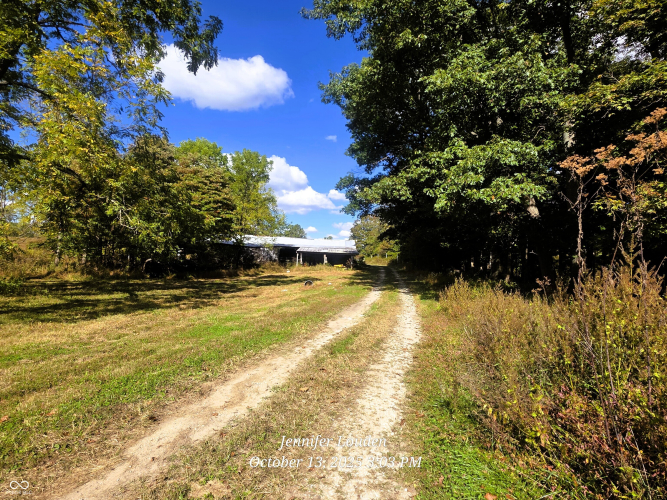 Listing Image 38
