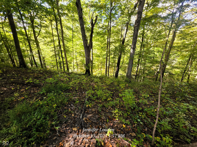 Listing Image 42