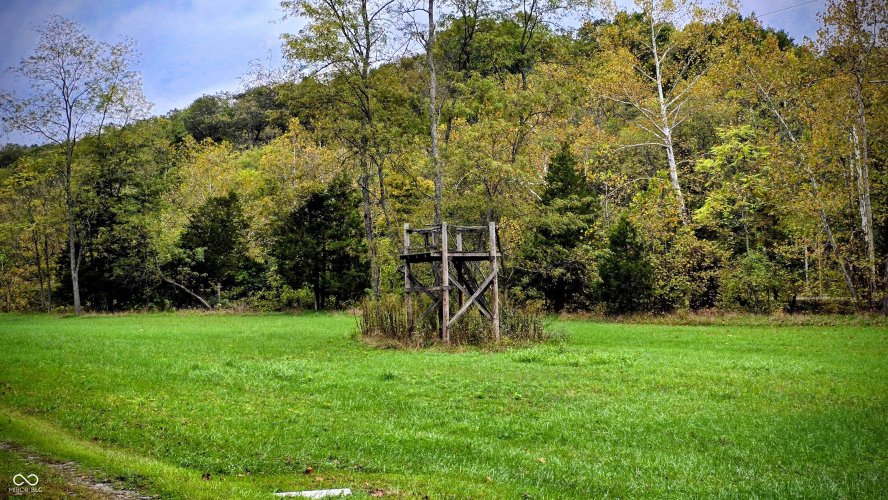Listing Image 131