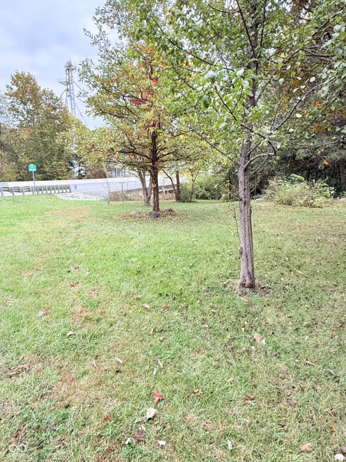 Listing Image 8