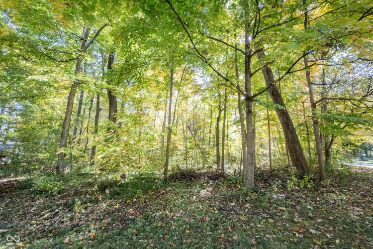 Listing Image 95