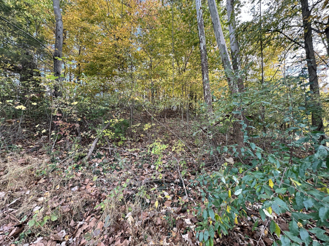 Listing Image 17