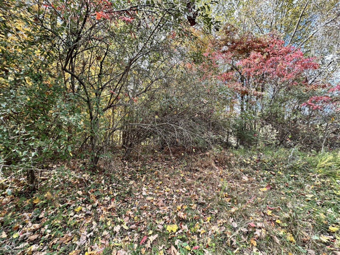 Listing Image 28