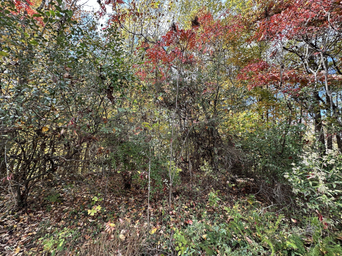 Listing Image 38