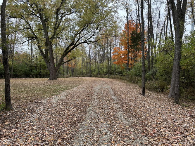 Listing Image 28