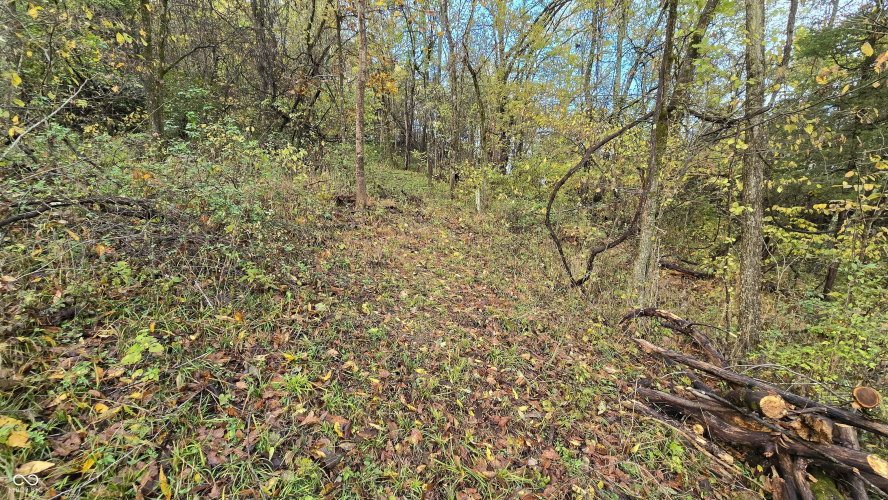 Listing Image 29