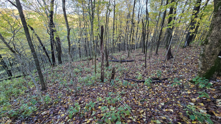 Listing Image 32