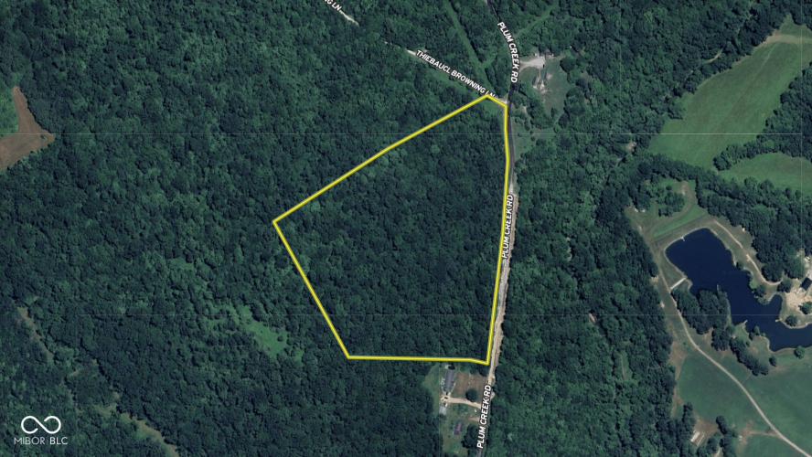 Listing Image 53