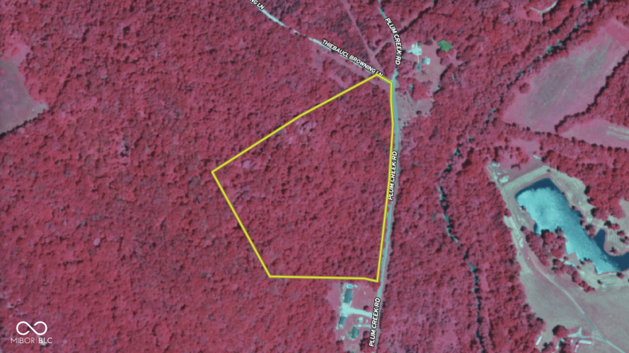Listing Image 54