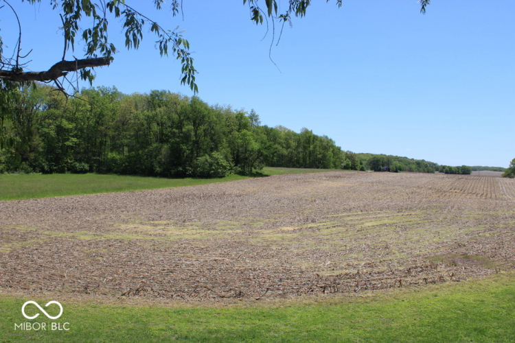 Listing Image 43