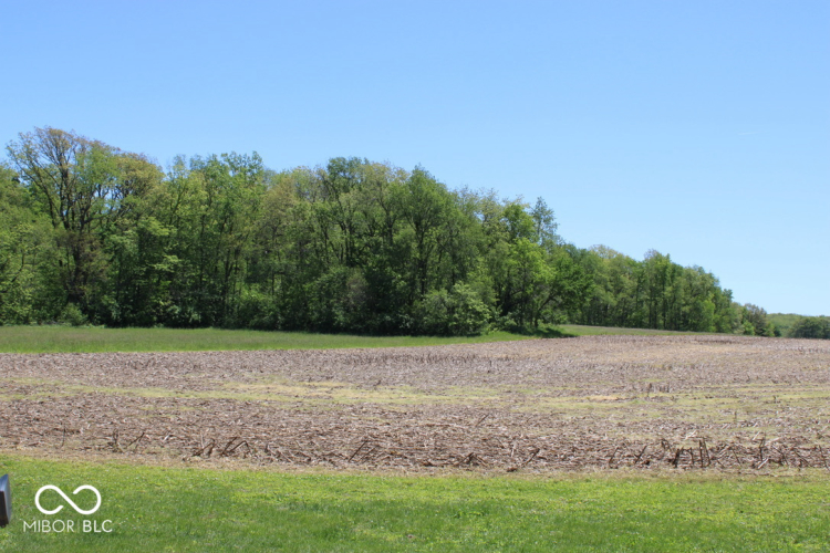 Listing Image 44