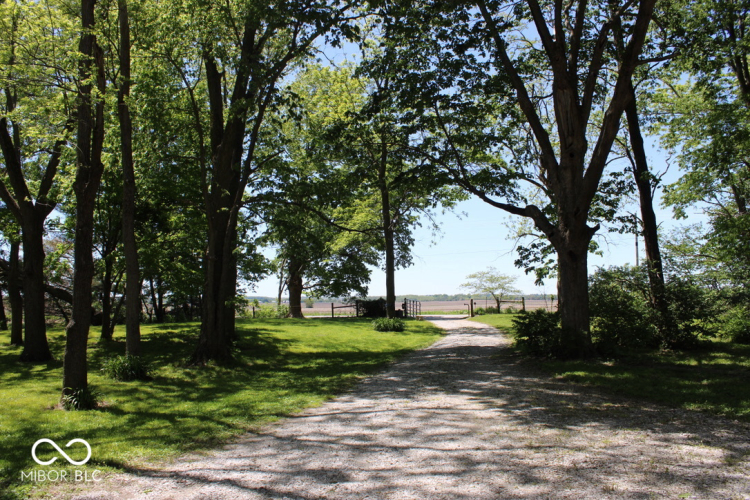 Listing Image 50
