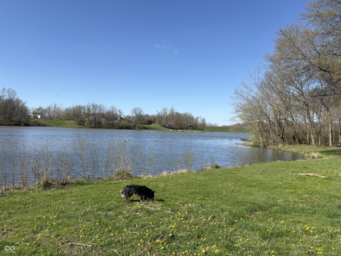 Listing Image 33