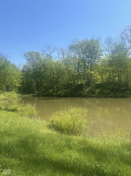 Listing Image 48