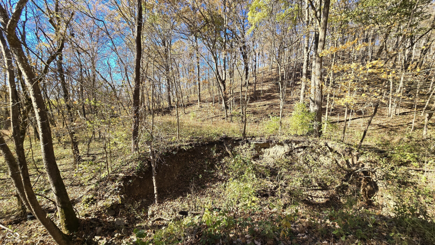 Listing Image 31