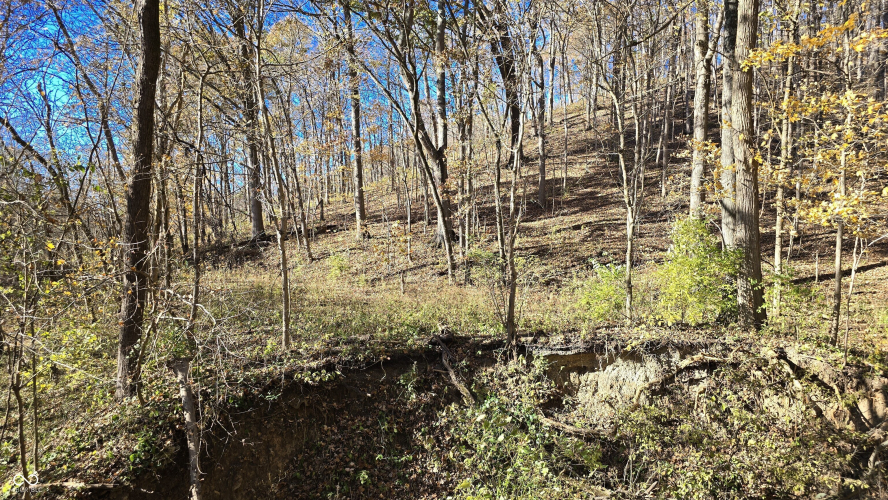 Listing Image 32