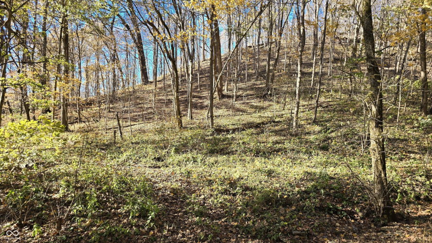 Listing Image 34