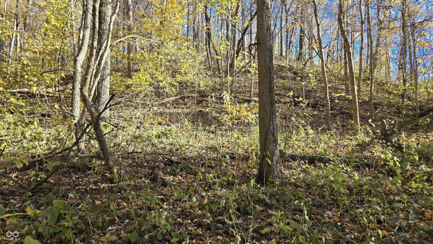 Listing Image 35