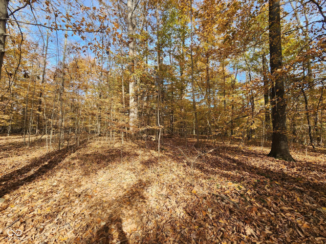 Listing Image 16