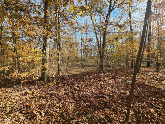 Listing Image 17