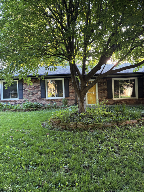 Listing Image 4