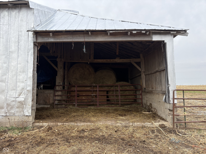 Listing Image 63