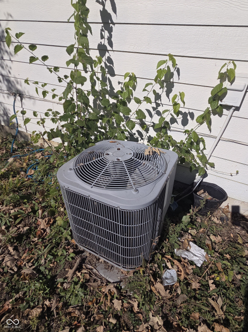 Listing Image 19