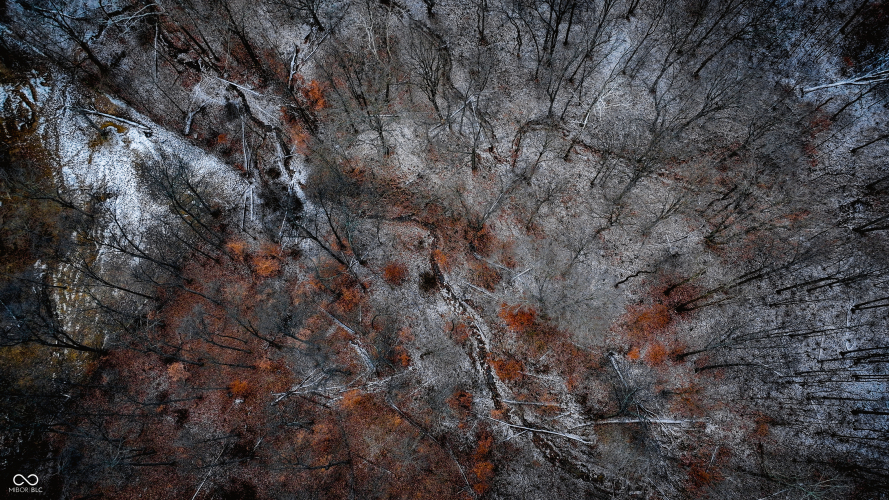 Listing Image 37