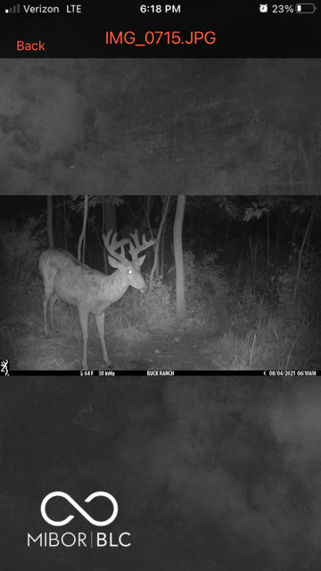 Listing Image 56