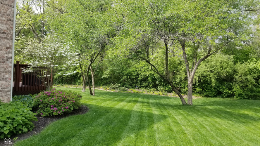 Listing Image 44