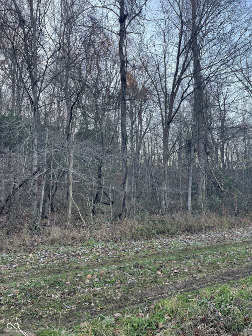 Listing Image 24