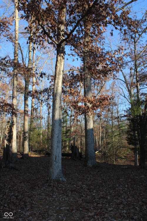 Listing Image 34