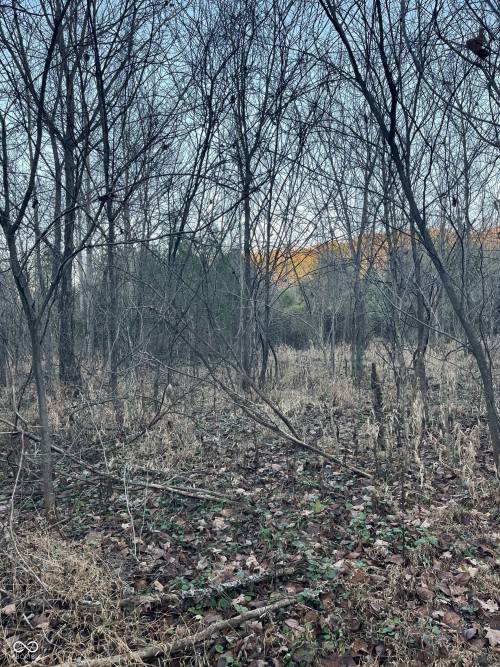 Listing Image 52