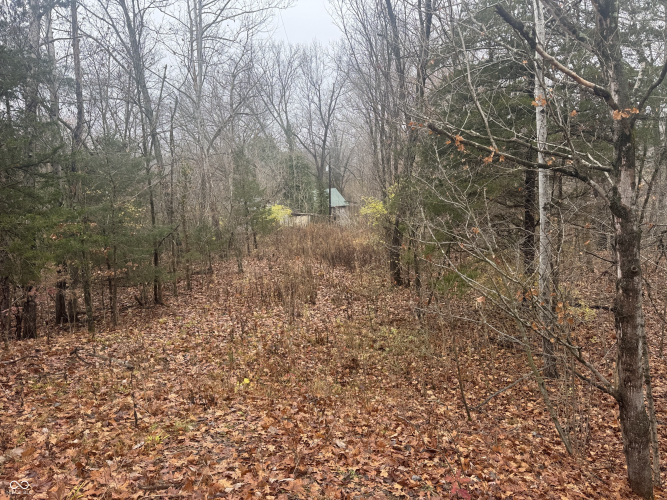 Listing Image 12