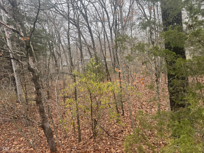 Listing Image 13