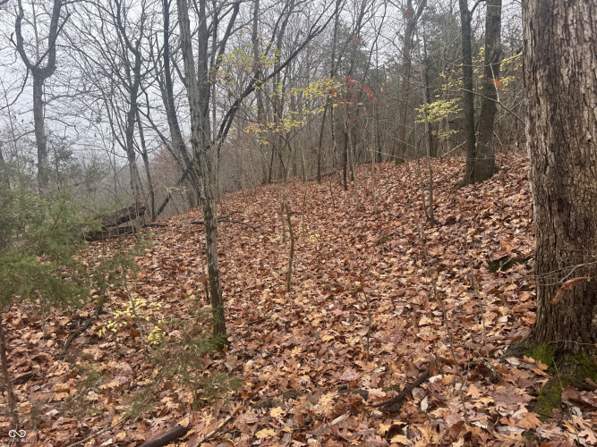 Listing Image 18