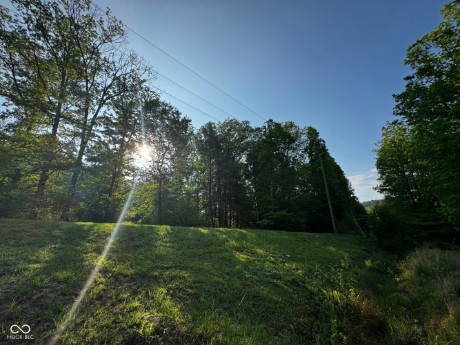 Listing Image 46