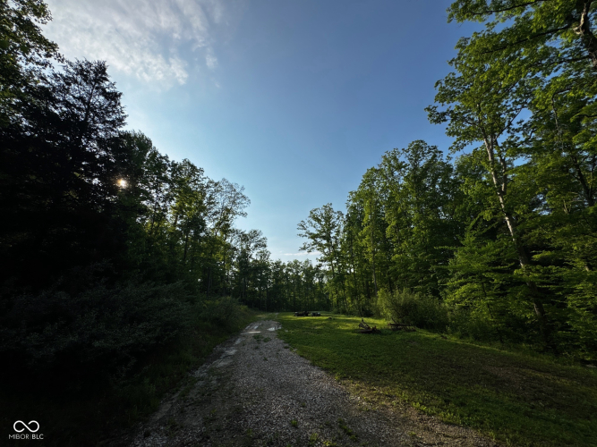 Listing Image 49