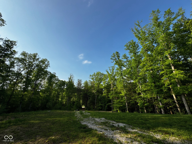 Listing Image 53