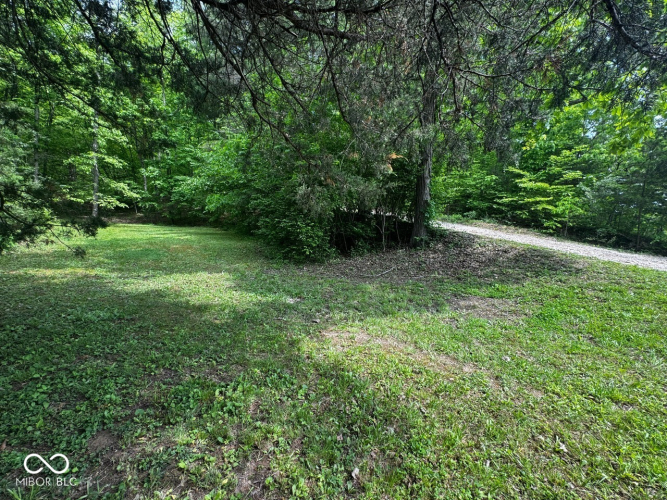 Listing Image 54