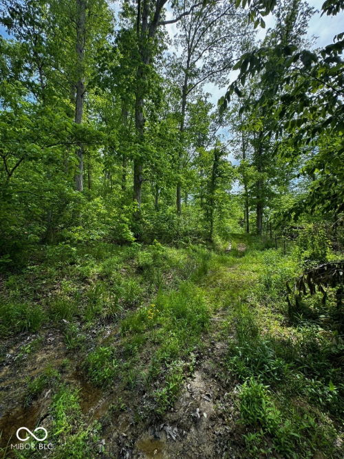 Listing Image 55