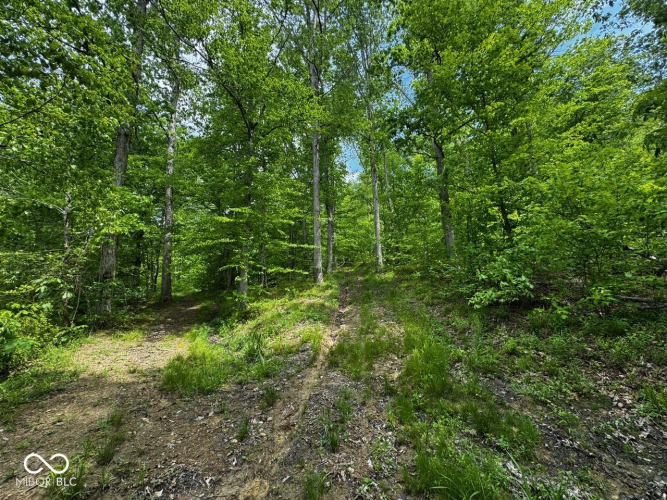 Listing Image 56