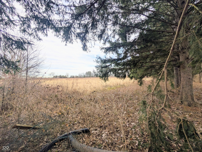 Listing Image 66